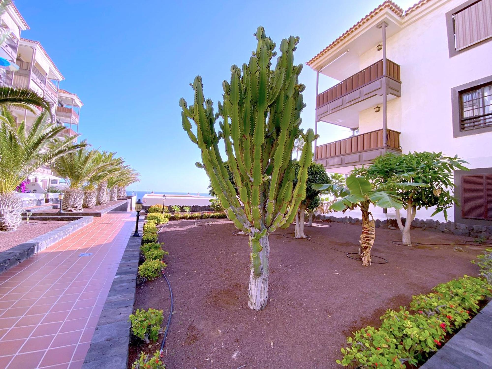 Tropicalidays Costa Mar Apartment Costa Del Silencio Exterior foto